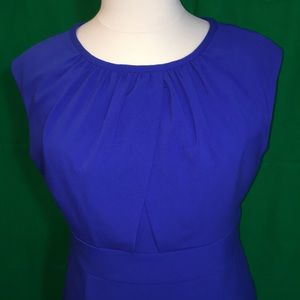 Sz 16 Cobalt Blue Calvin Klein Dress